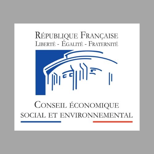 Conseil économique social et environnemental